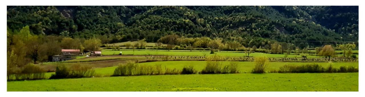 Apartamento Holidays In Ainsa Bagian luar foto